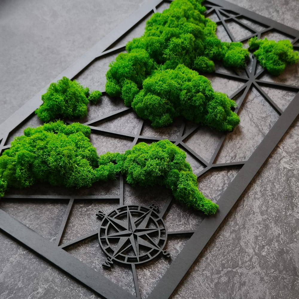 Obraz - mapa świata z mchu - 55cm x 33cm (sklejka 4mm) - obrazek 2