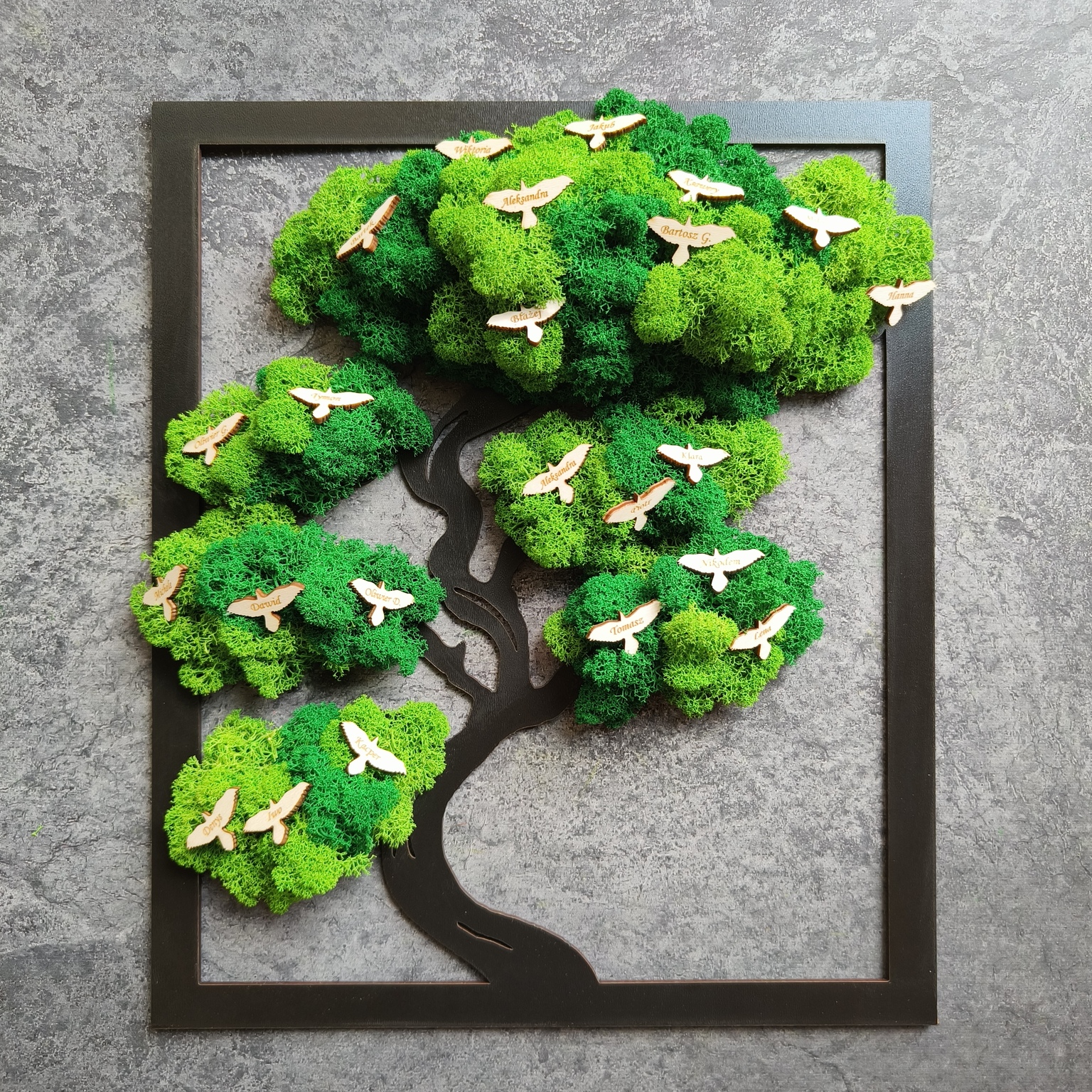 Drzewko bonsai z mchu, personalizacja imion