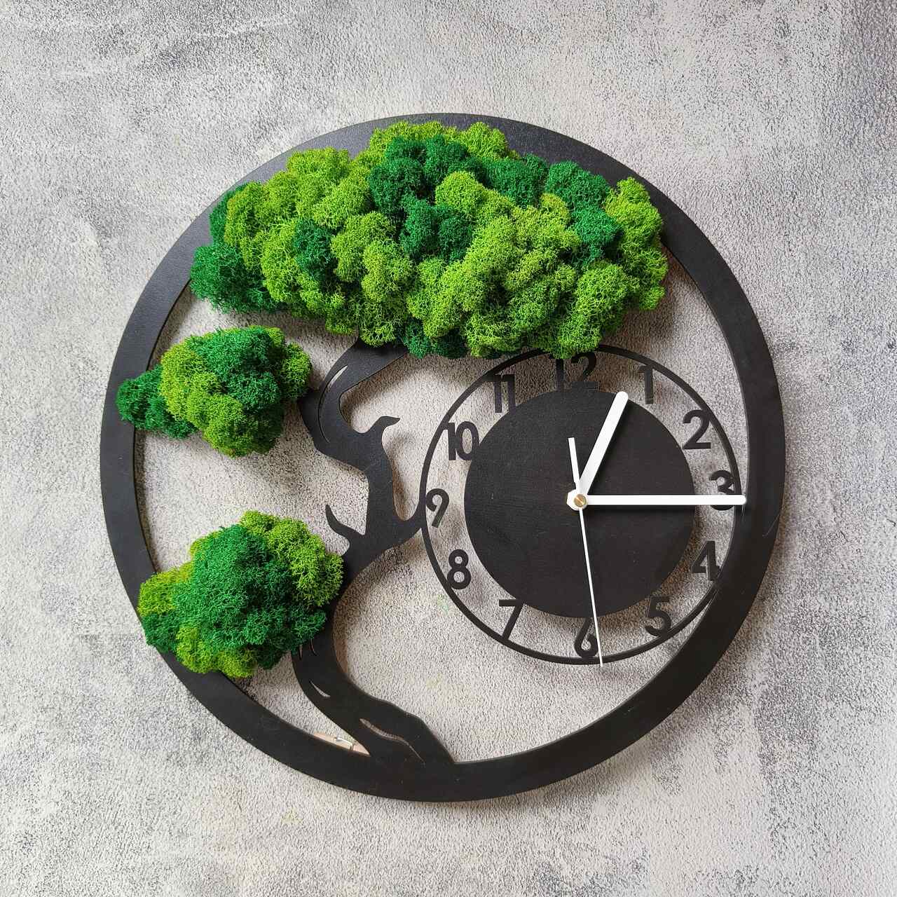 zegar drzewo bonsai z chrobotkiem mech