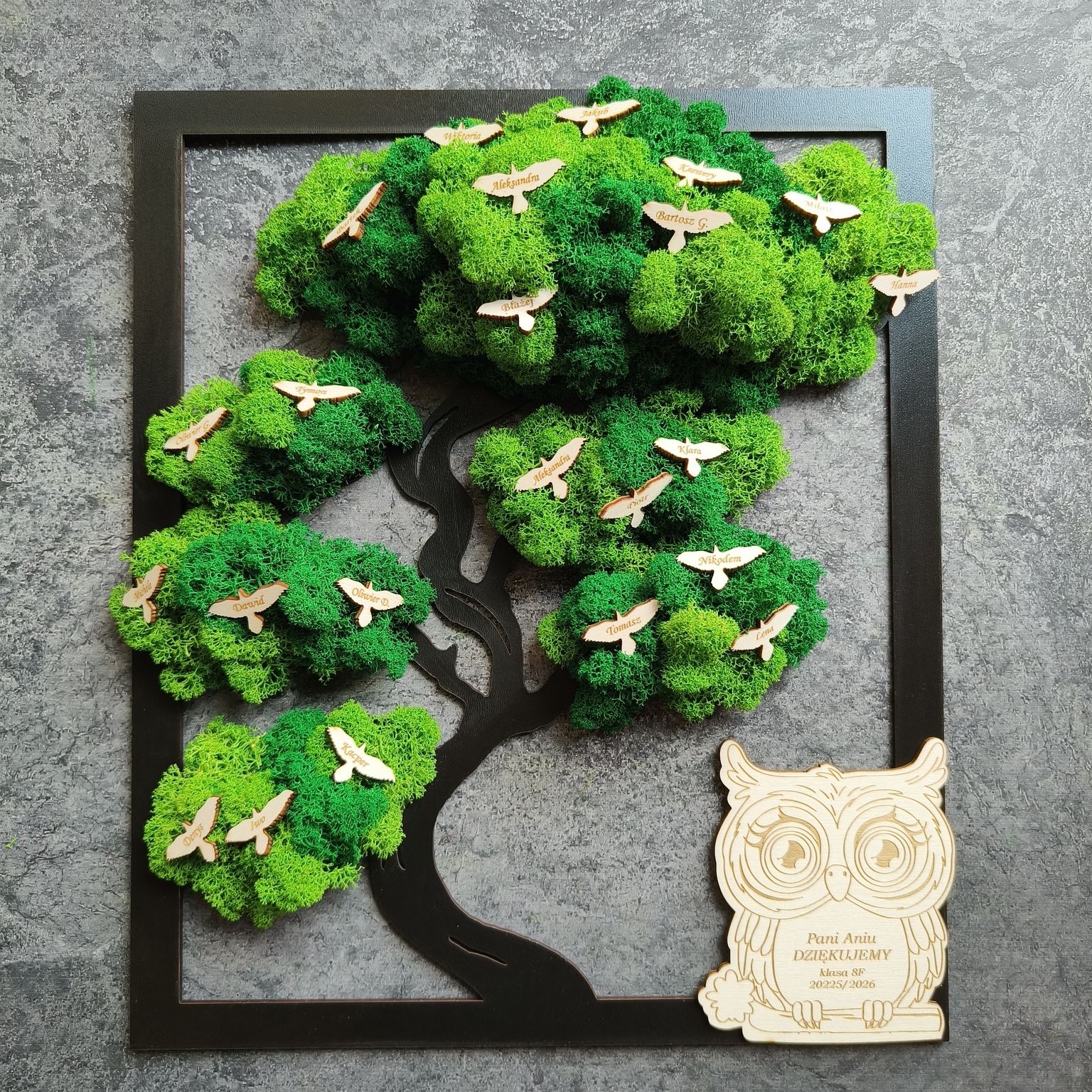 Drzewko bonsai z mchu, personalizacja imion. Sówka z dedykacją