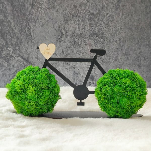 Rower - prezent dla Taty