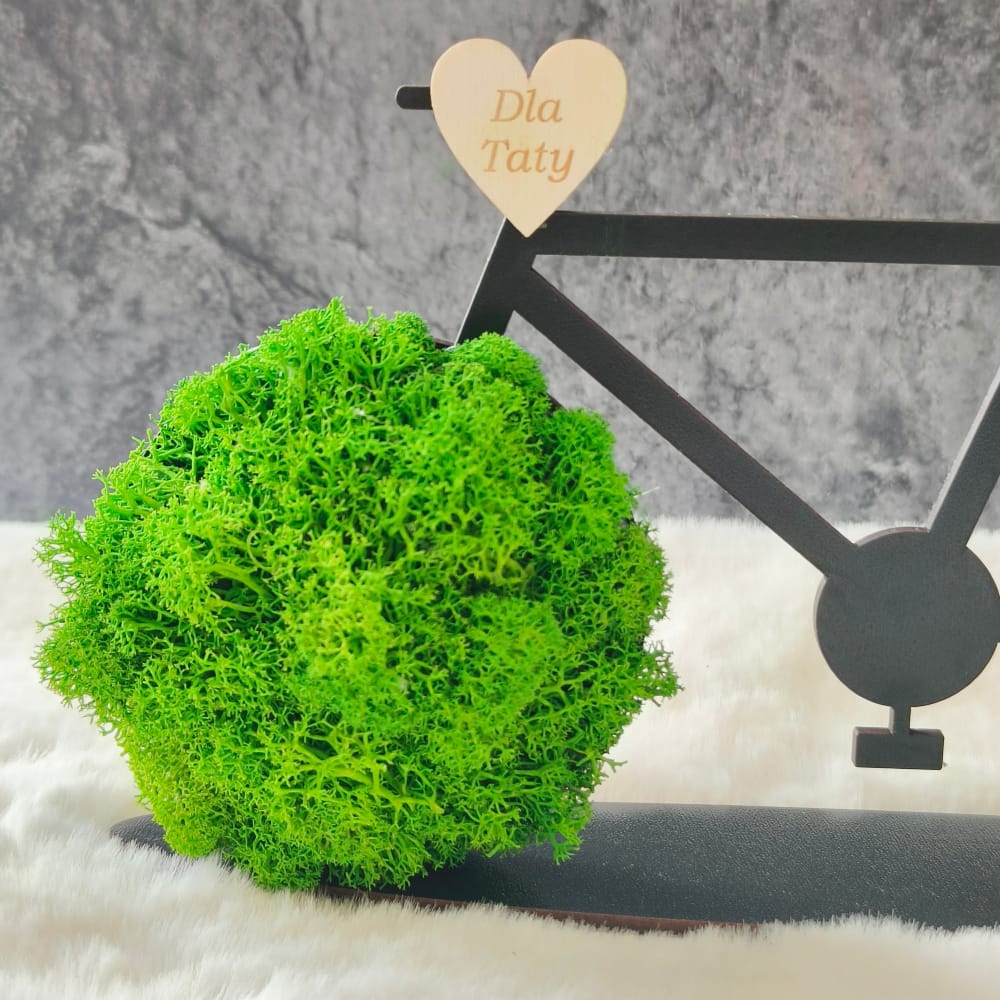 Rower - prezent dla Taty - Image 3