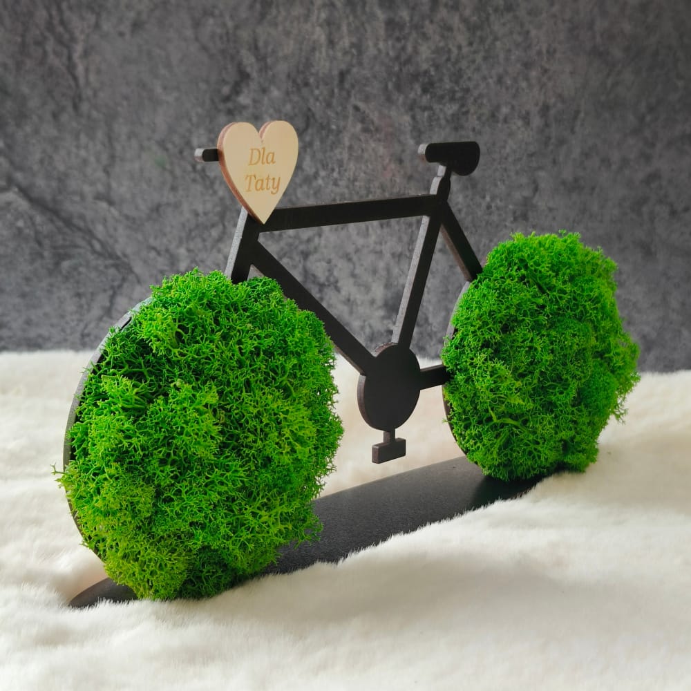 Rower - prezent dla Taty - Image 2