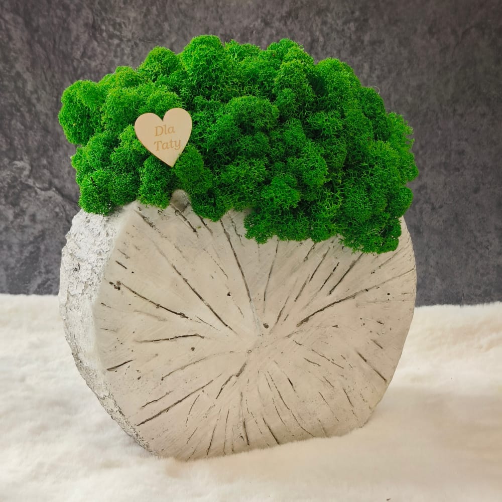 Doniczka Brzozowy Krąg z mchem - prezent dla Taty