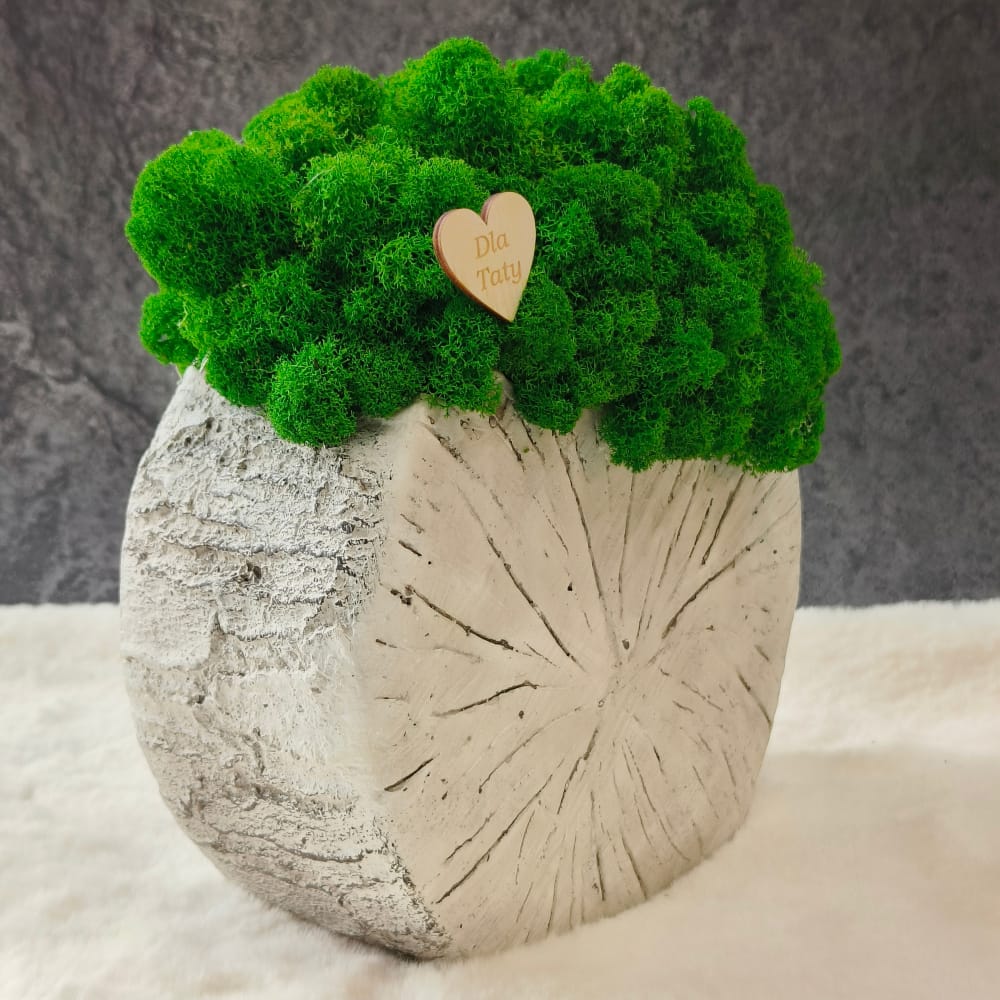 Doniczka Brzozowy Krąg z mchem - prezent dla Taty - obrazek 2