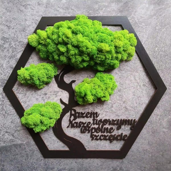 Heksagon z drzewem bonsai z mchu (50cm) – napis Razem tworzymy wspólne szczęście