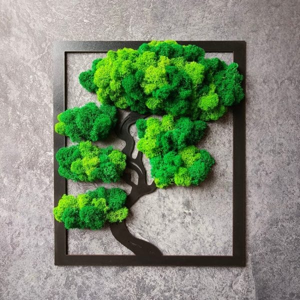 Drzewo bonsai z mchem, w prostokącie (5 gałęzi)