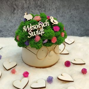 IMG20250131160131