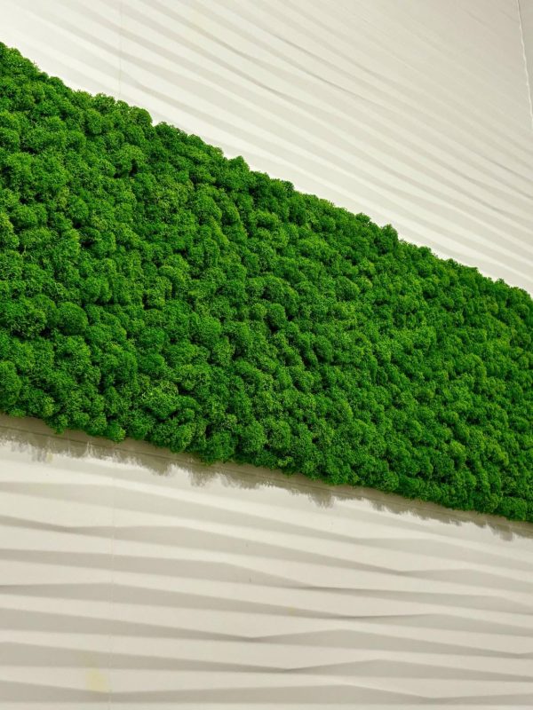 WhatsApp Image 2025-02-06 at 12.59.32