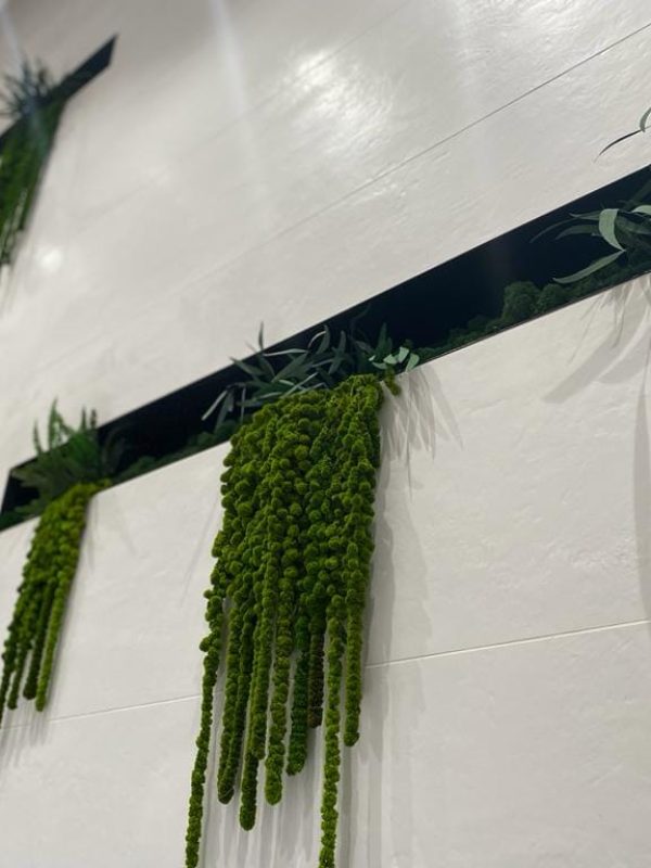 WhatsApp Image 2025-02-06 at 12.59.35